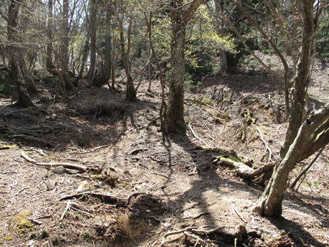 20140502hike (175)